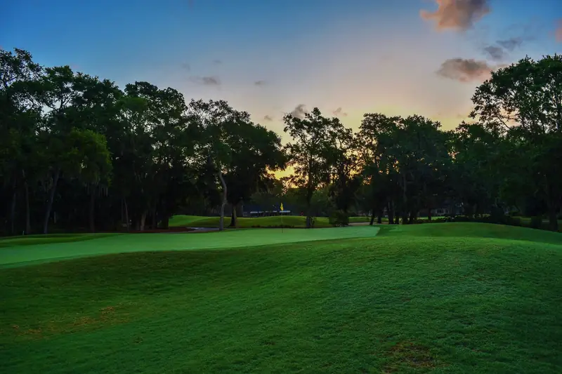 Un parcours de golf entouré d'arbres, à l'aube