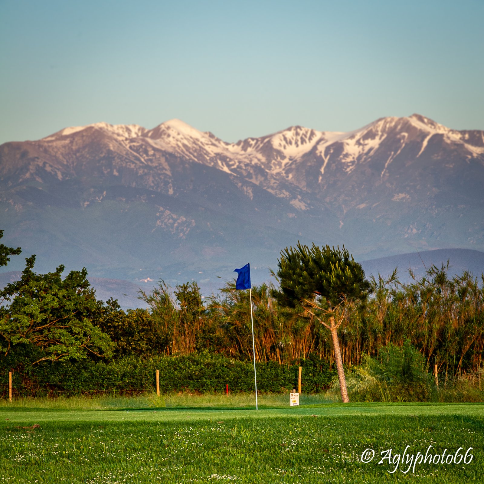 Compact Golf d’Amelie les Bains Palalda Montalba - Green et bunkers
