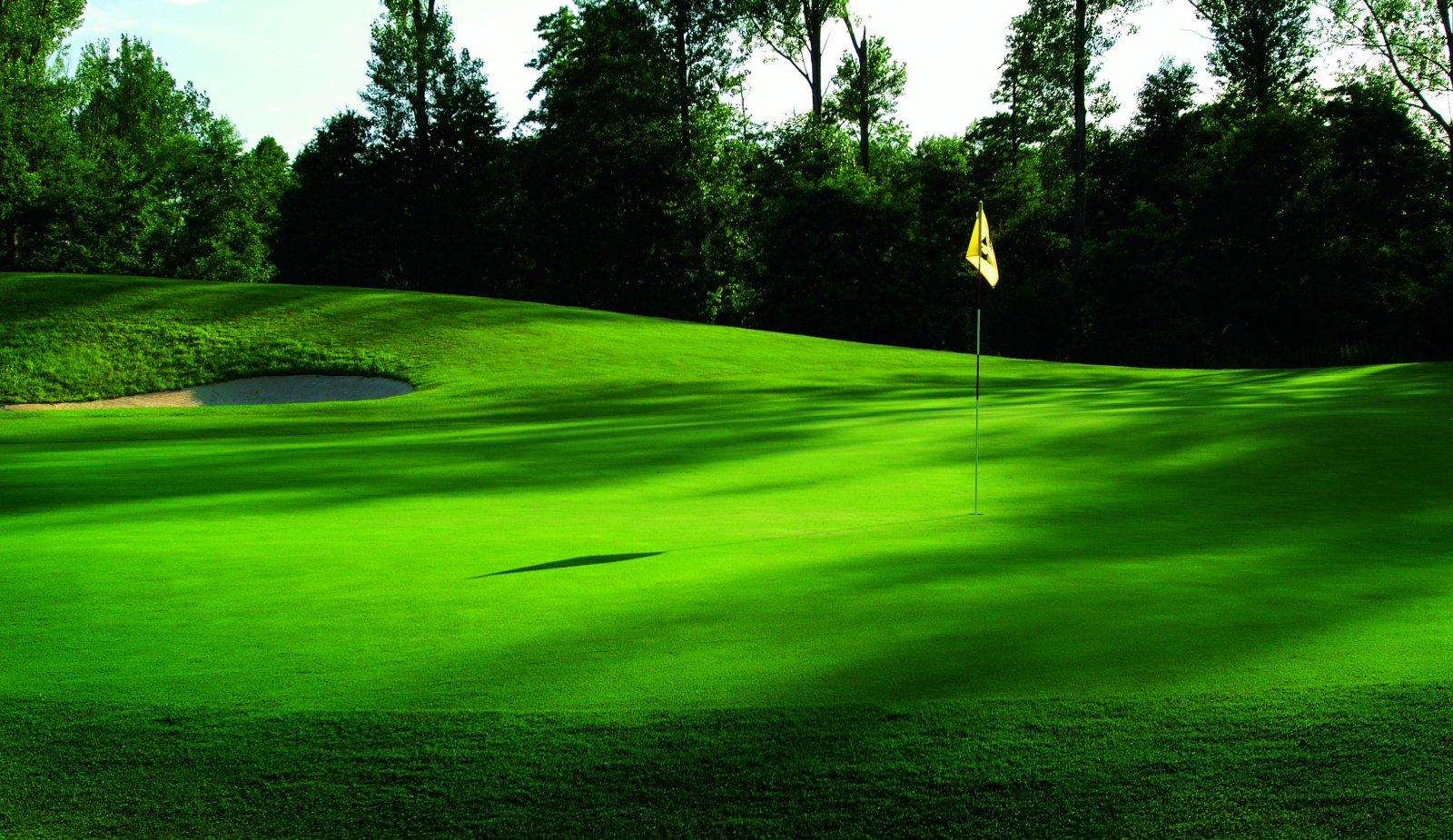 Golf Club Soufflenheim Baden Baden - Fairway et green du parcours