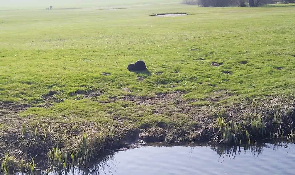 Golf de Toul Avrainville — Avrainville