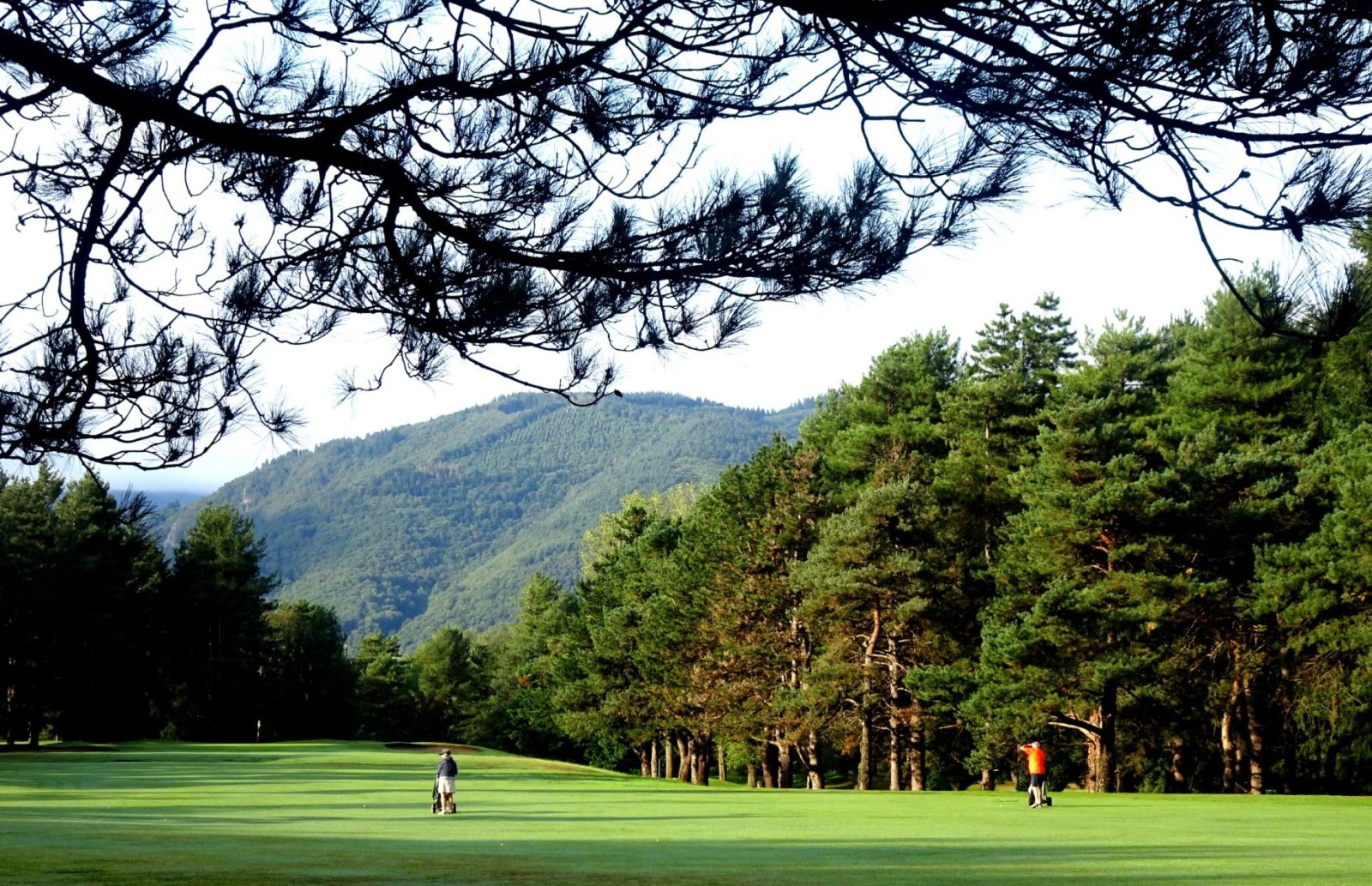 Golf Club de la Barouge 1956 - Panorama du parcours de golf