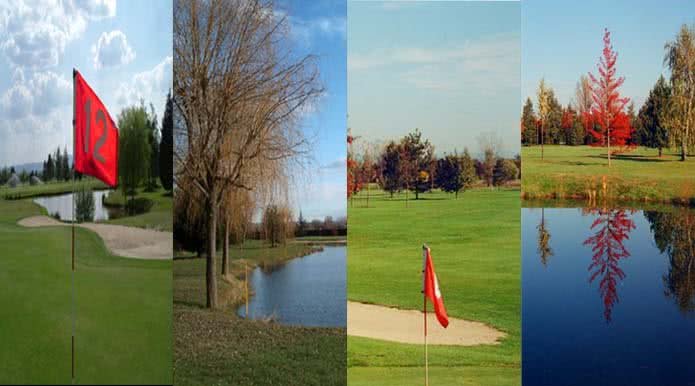 Golf Club du Forez - Fairway et green du parcours