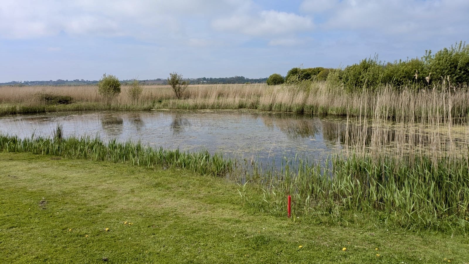 Golf de Cherbourg - Green et bunkers