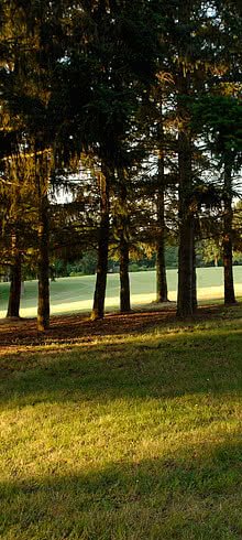 Golf de Montauban les Aiguillons - Panorama du parcours de golf