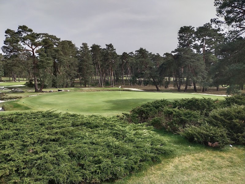 Golf de Mortefontaine - Fairway et green du parcours