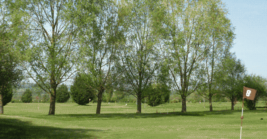 Golf de Moulins les Avenelles - Green et bunkers
