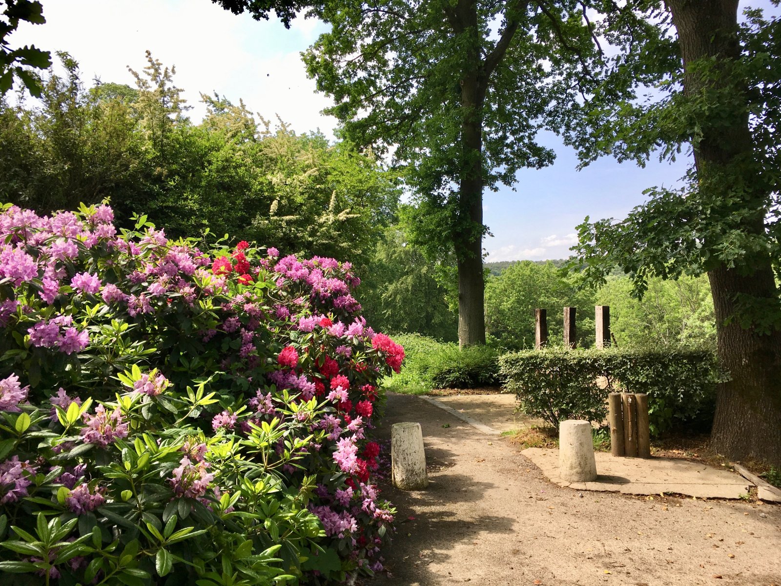 Golf Golf de Rouen Mont saint Aignan