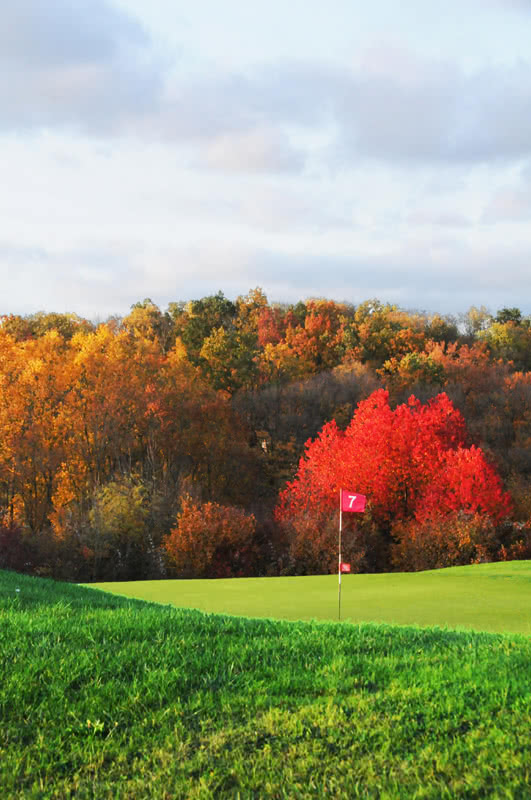 Golf d’Ecancourt - Green et bunkers
