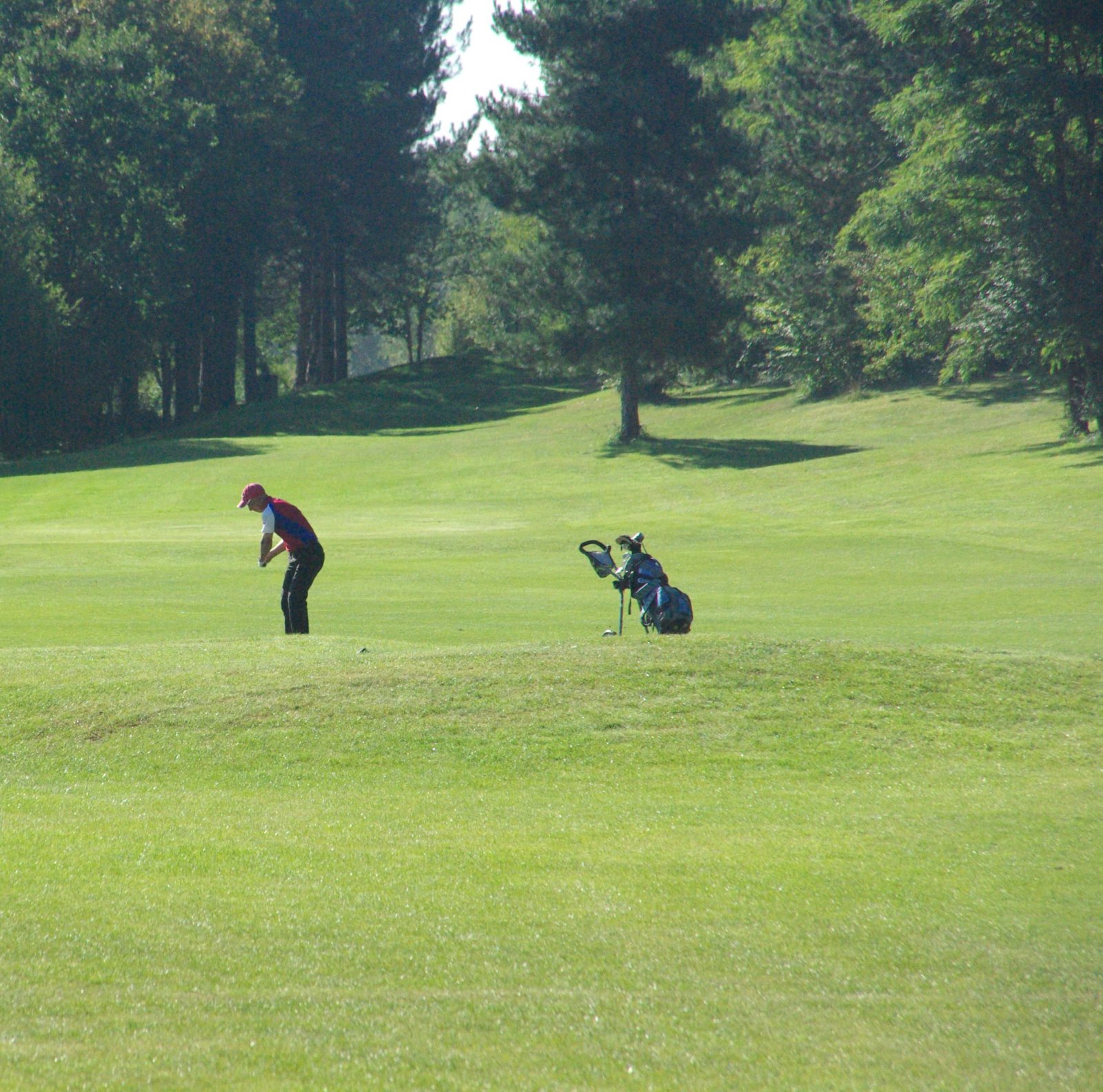 Golf des Boucles de Seine - Fairway et green du parcours