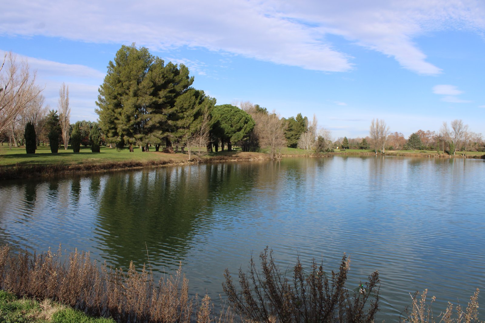 Golf Golf du Grand Avignon à Vedène