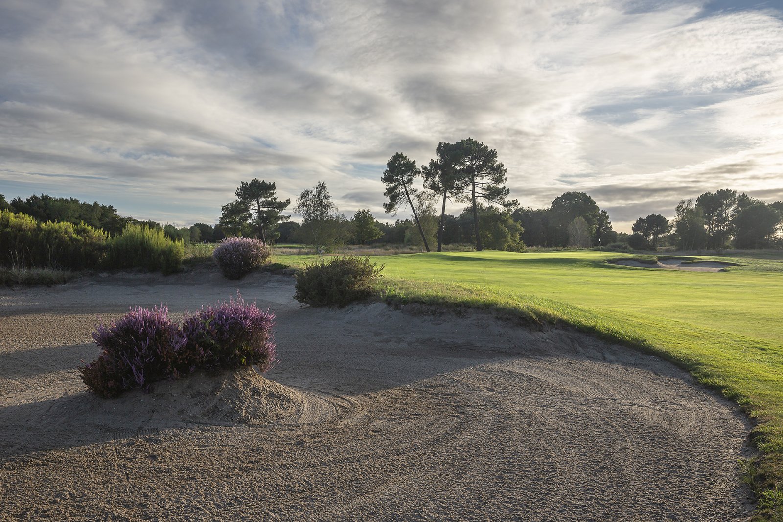 Cabot Bordeaux Resort - Fairway et green du parcours