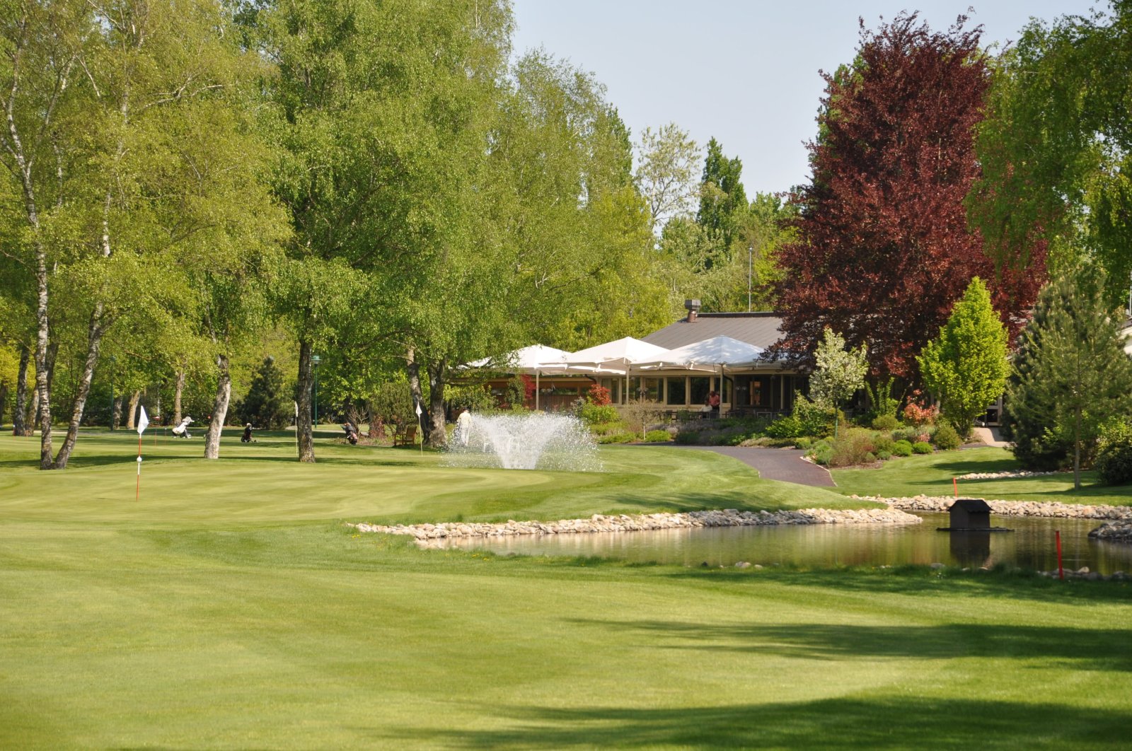 Golf du Rhin - Fairway et green du parcours