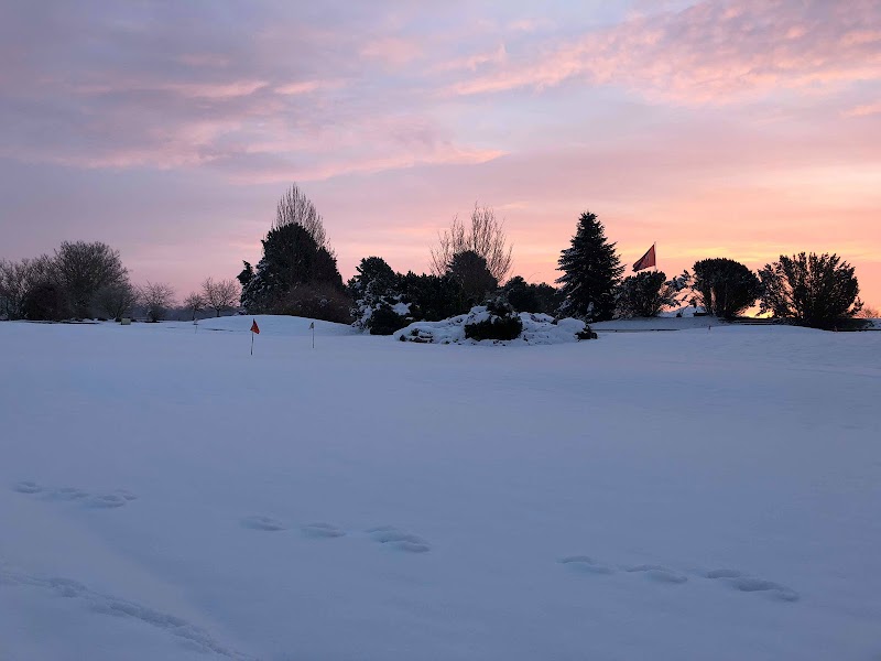 Golf du Stade Français Courson - Green et bunkers