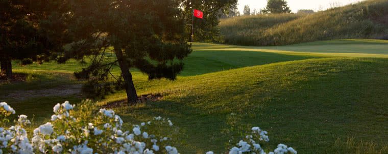 Golf Golf Public de Miribel Jonage