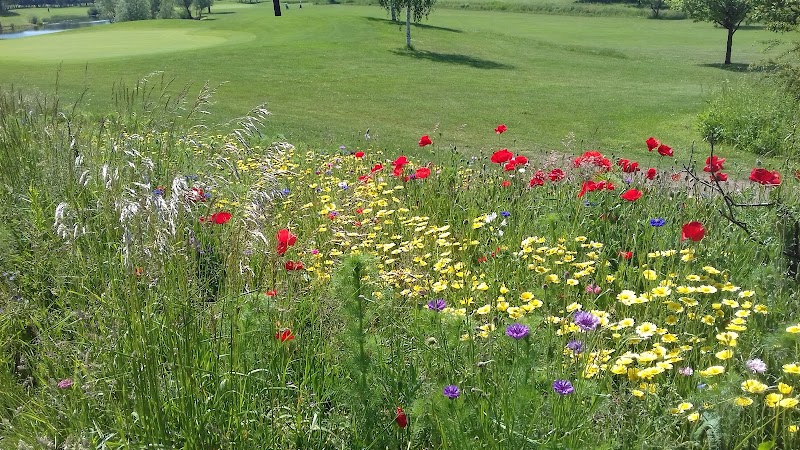 Golf Sarreguemines Confluences - Club house et installations