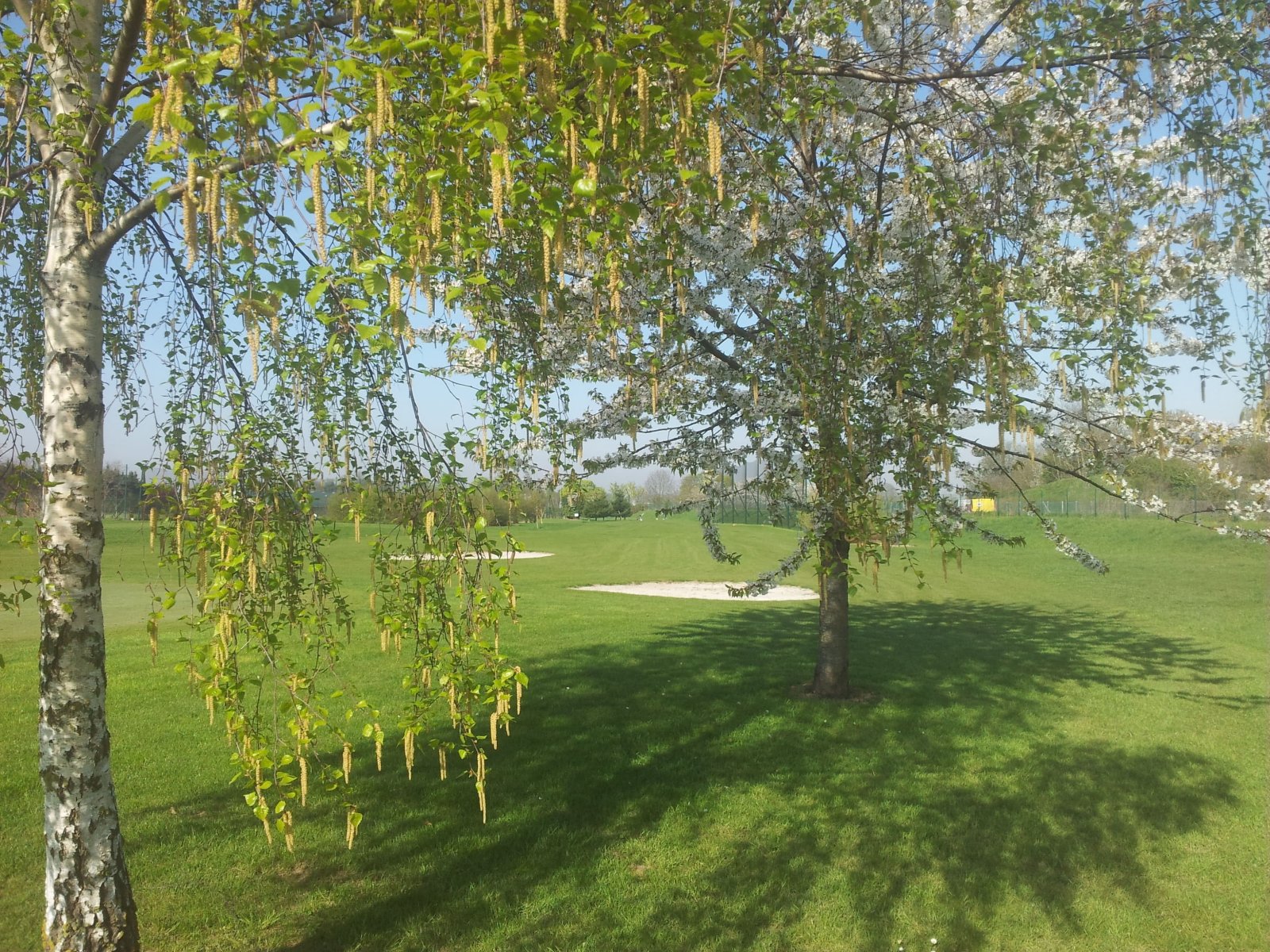 Golf Club de Draveil - Fairway et green du parcours