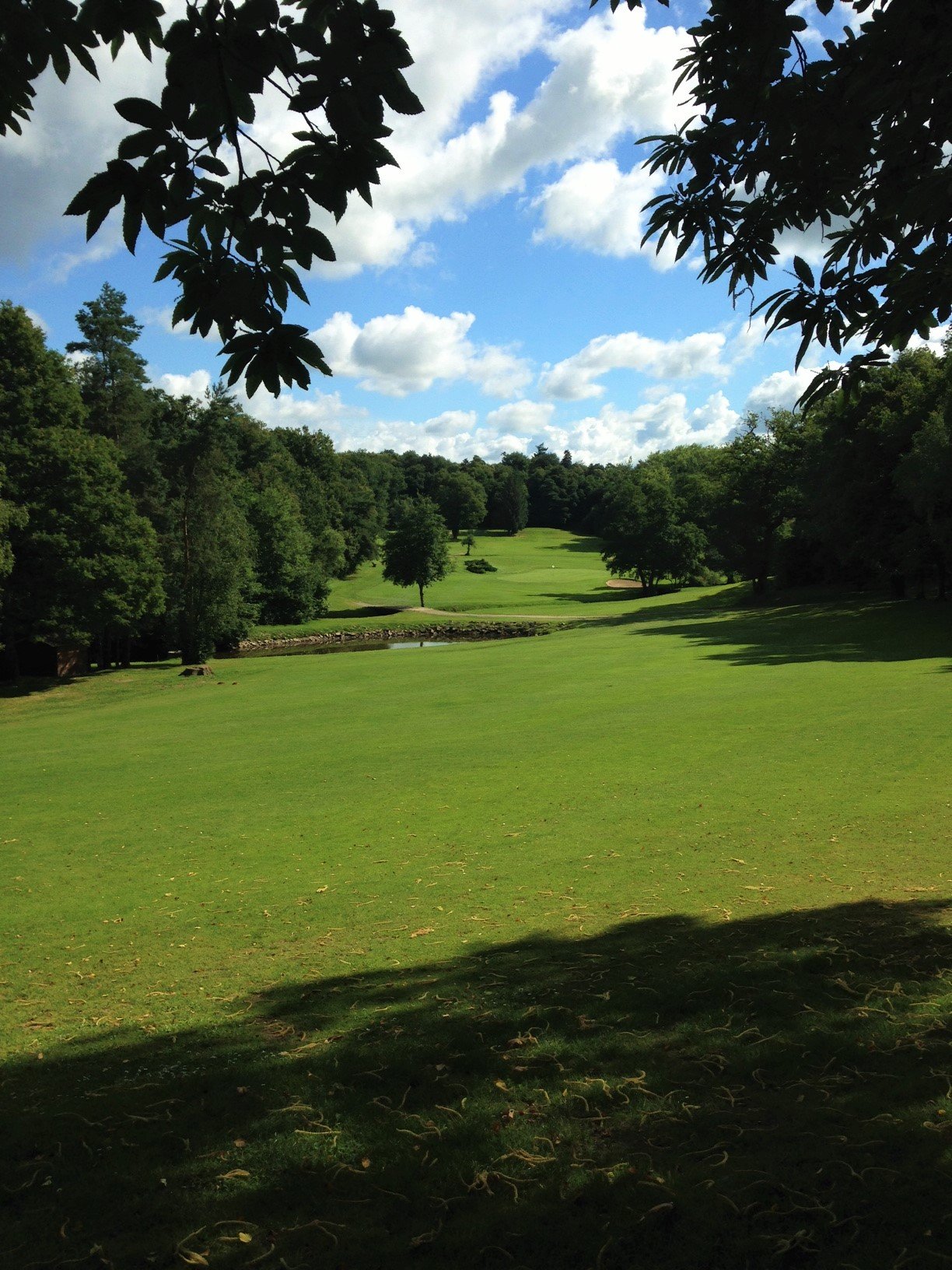 Vertou Golf Club Ebeaupin - Panorama du parcours de golf
