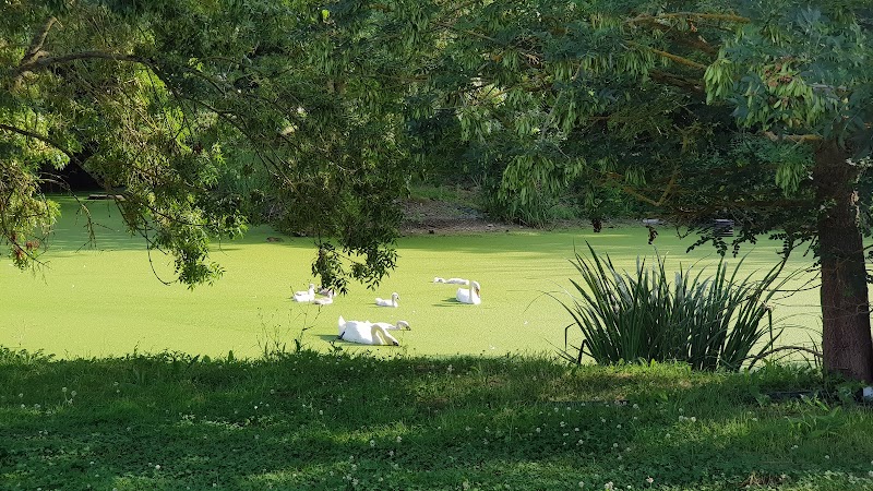 Golf d'Angers à Les Garennes sur Loire - photo 2