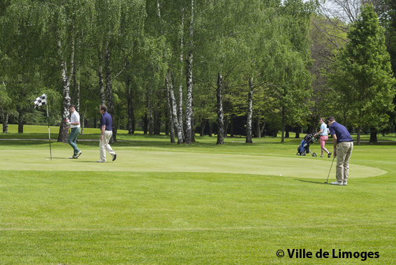 Golf Municipal à Limoges - photo 3