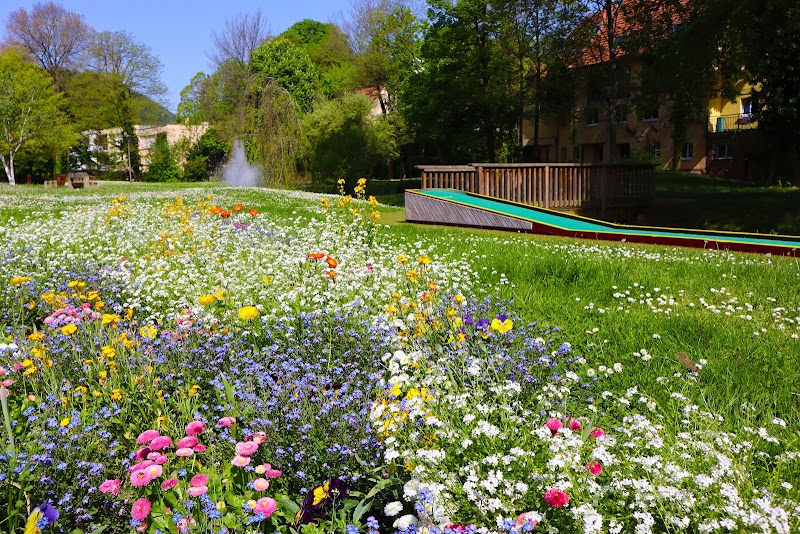 Mini-golf Golf sur pistes à Niederbronn-les-Bains