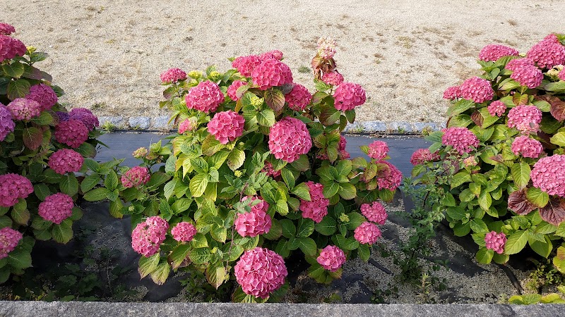 Mini Golf de la Plage à Saint-Lunaire - photo 2